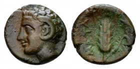 Lucania, Metapontum Bronze circa 300-250, Æ 11.5mm., 1.53g. Head of Apollo Karneios l. Rev. Grain ear with leaf to r.; cross torch above leaf. Johnsto...