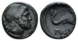 Lucania, Paestum Quadrans circa 218-201, Æ 15.5mm., 3.63g. Bearded head of Poseidon r.; behind, three pellets. Rev. ΠAIS, dolphin r.; above three pell...