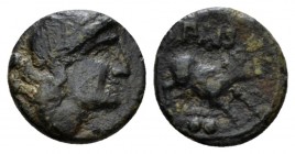 Lucania, Paestum Sextans circa 218-201, Æ 14mm., 2.15g. Wreathed head of Ceres r.; behind two pellets. Rev. Boar standing r.; below, club and two pell...