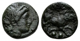 Lucania, Paestum Sextans circa 218-201, Æ 14.5mm., 3.36g. Head of Ceres r.; at l., two pellets. Rev. PAIS Boar advancing r.; below, crescent and two p...