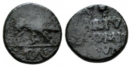 Lucania, Paestum Semis circa I cent, Æ 16.5mm., 4.72g. Boar standing r, wounded by spear; below, S. Rev. Lituus and jug above legend in three lines. C...