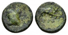 Lucania, Paestum B I cent., Æ 14mm., 2.70g. Crossed shields; above C.AX at l. IIII and below VIR. Rev. Bull r.; below PAE. Historia Numorum Italy 1244...