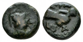 Lucania, Paestum Semis circa mid I cent, Æ 14.5mm., 5.06g. PAE Helmeted and draped bust r. Rev. L FAD / SA Clasped hands Historia Numorum Italy 1250. ...