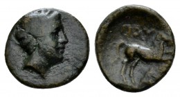 Lucania, Thurium Bronze circa 280-260, Æ 14mm., 2.09g. Diademed head of Apollo r. Rev. Horse prancing r. SNG ANS 1201. Historia Numorum Italy 1928.
 ...