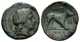 Bruttium, Rhegium Tetras circa 215-211, Æ 25mm., 7.50g. Laureate head of Apollo r.; behind, palm frond. Rev. Wolf r.; in front, III. Historia Numorum ...