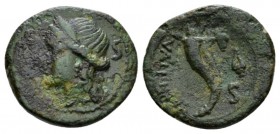 Bruttium, Vibo Valentia (Hipponion) Semis circa 193-150, Æ 21mm., 5.47g. Diademed head of Juno l.; behind, S. Rev. Double cornucopia; in r. field, she...