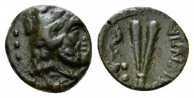 Bruttium, Vibo Valentia (Hipponium) Quadrans circa 193-150, Æ 12.5mm., 1.76g. Head of Herakles r., wearing lion's skin; behind, three pellets. Rev. Tw...
