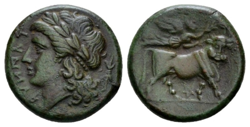 Samnium, Teanum Sidicinum Bronze circa 265-240, Æ 18mm., 5.87g. Laureate head of...