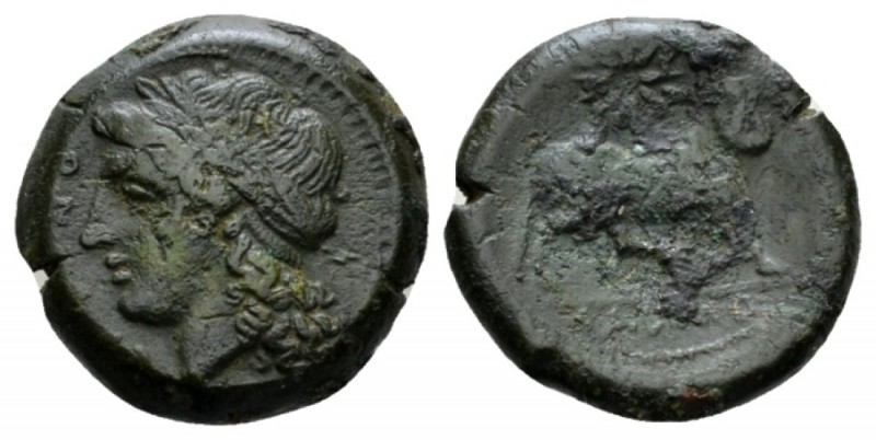 Campania, Cales Bronze circa 265-240, Æ 19mm., 7.99g. Laureate head of Apollo l....