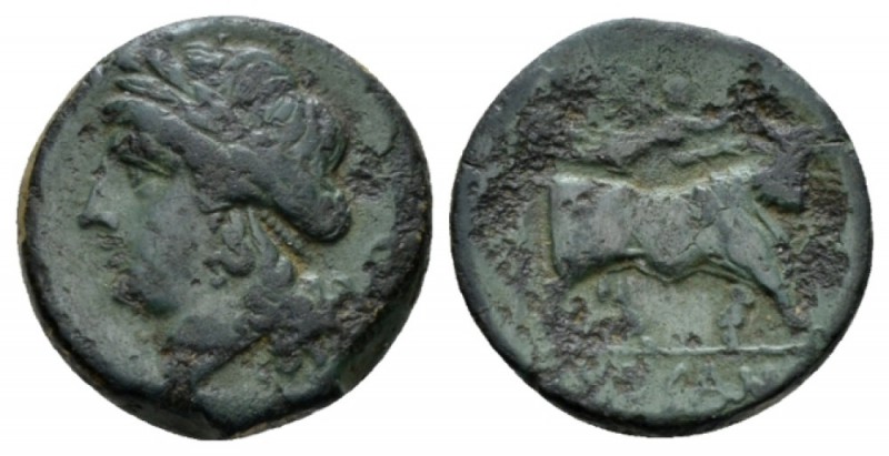 Campania, Suessa Bronze circa 265-240, Æ 19mm., 6.57g. Laureate head of Apollo l...