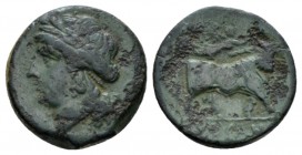 Campania, Suessa Bronze circa 265-240, Æ 19mm., 6.57g. Laureate head of Apollo l. Rev. Man-faced bull advancing r., crowned by flying Nike r. SNG ANS ...