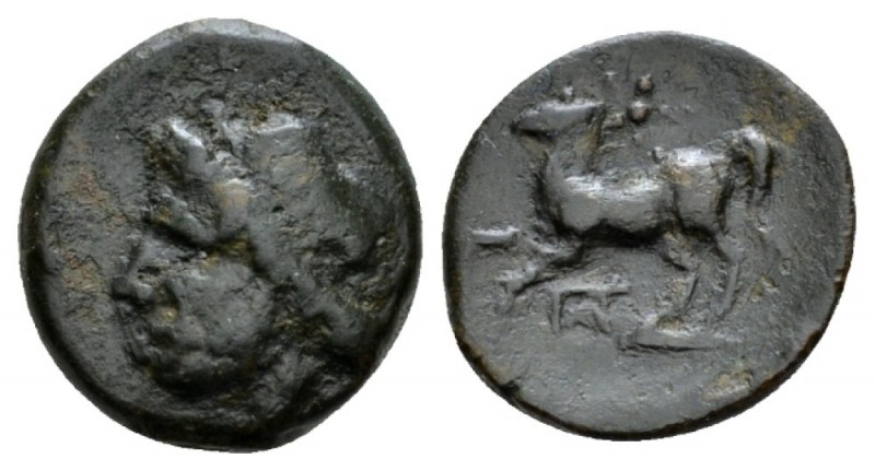 Apulia, Arpi Bronze circa 325-275, Æ 16mm., 3.65g. Laureate head of Zeus l. Rev....