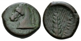 Apulia, Ausculum Obol circa 300-275, Æ 20.5mm., 7.68g. Horse head l. Rev. AYI YΣKΛI Grain ear. SNG ANS 647. Historia Numorum Italy 651.

Rare. Brown...
