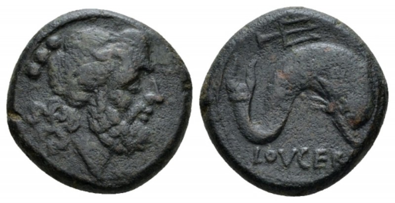 Apulia, Luceria Teruncius circa 217-212, Æ 20mm., 10.19g. Laureate head of Posei...