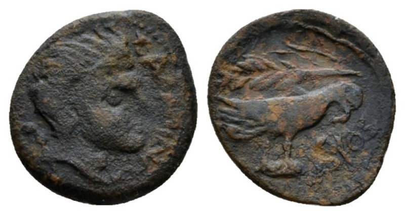 Apulia, Salapia Bronze circa 275-250, Æ 14mm., 2.33g. Head of Pan r. Rev. Eagle ...