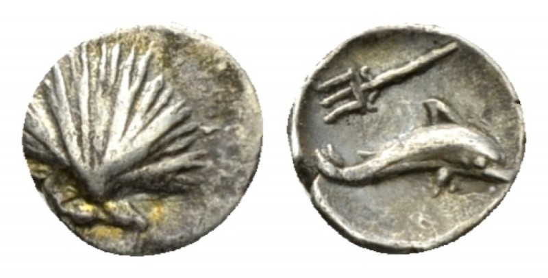 Calabria, Tarentum Half litra circa 280-228, AR 8.5mm., 0.36g. Shell. Rev. Dolph...