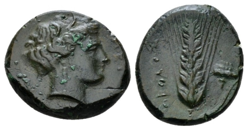 Lucania, Metapontum Obol circa 425-350, Æ 22mm., 7.99g. Head of Demeter r., wear...