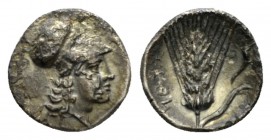 Lucania, Metapontum Diobol circa 325-275, AR 11.5mm., 0.99g. Head of Athena r., wearing crested Corinthian helmet. Rev. Barley-ear; in r. field, cornu...