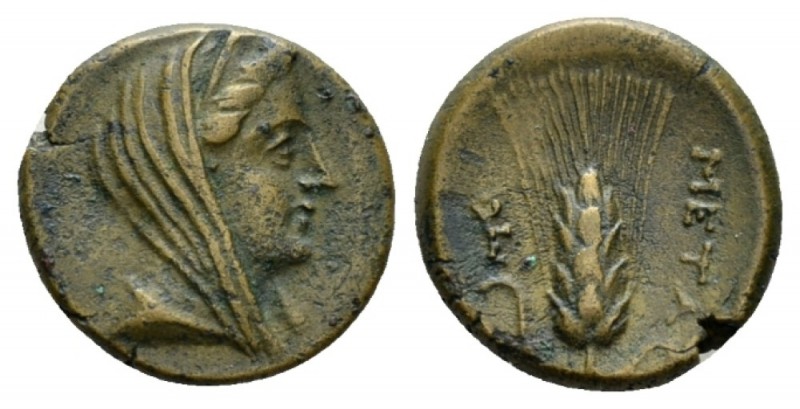 Lucania, Metapontum Bronze circa 300-250, Æ 15.5mm., 3.07g. Veiled head of Demet...