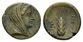 Lucania, Metapontum Bronze circa 300-250, Æ 15.5mm., 3.07g. Veiled head of Demeter r. Rev. Barley-ear; in l., field, monogram. Johnston 57. Historia N...