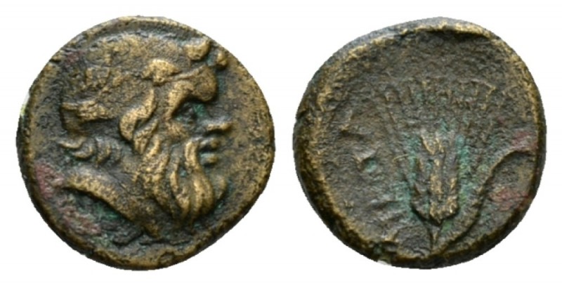 Lucania, Metapontum Bronze circa 300-250, Æ 11.5mm., 1.90g. Ivy-wreathed head of...