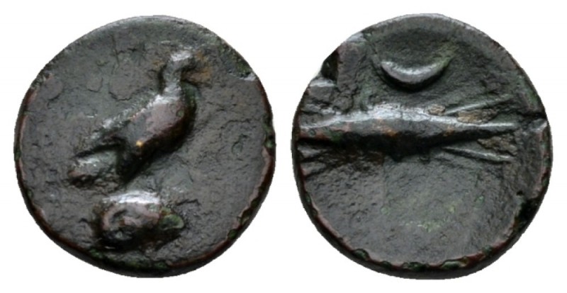 Bruttium, Kroton Bronze circa 425-375, Æ 14mm., 2.19g. Eagle standing r. with wi...