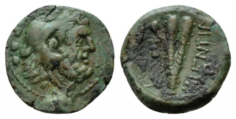 Bruttium, Hipponium (as Vibo Valentia) Bronze After 192, Æ 15.5mm., 2.62g. Head ...