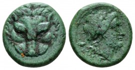 Bruttium, Rhegium Bronze circa 351-280, Æ 19.5mm., 7.03g. Facing head of lion. Rev. Laureate head of Apollo r. SNG ANS 685. Historia Numorum Italy 253...