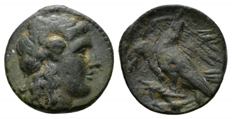 Sicily, Agrigentum Bronze circa 275-240, Æ 19mm., 4.70g. Laureate head of Apollo...