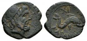 Sicily, Catana Dichalkon circa 216-206, Æ 19mm., 3.25g. Wreathed head of Poseidon r., holding trident. Rev. Dolphin r. SNG Copenhagen 189. Calciati 4....