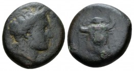 Sicily, Henna Hemilitron circa 339-335, Æ 23mm., 16.63g. Head of Kore-Persephone r., wearing wreath of grains. Rev. Head of bull r. Campana 4. SNG ANS...