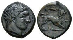 Sicily, Syracuse Bronze circa 308-307, Æ 20mm., 8.90g. Diademed head of Herakles r. Rev. Lion advancing r., above, club. SNG ANS 739. Calciati 151.
...