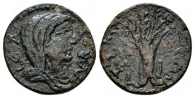 Caria, Attuda Pseudo-autonomous issue. Bronze circa III cent., Æ 24mm., 8.70g. Veiled and draped bust of Boule r. Rev. Tree. BMC 24. SNG Tubingen 3364...