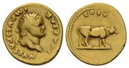 Titus Caesar, 69-79 Aureus circa 76, AV 19.5mm., 7.10g. T CAESAR IMP VESPASIANVS Laureate head r. Rev. COS V Cow walking r. RIC Vespasian 188. BMC Ves...