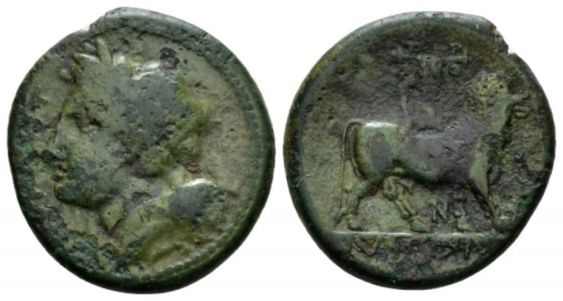 Samnium, Teanum Sidicinum Bronze circa 265-240, Æ 19mm., 5.16g. Laureate head of...