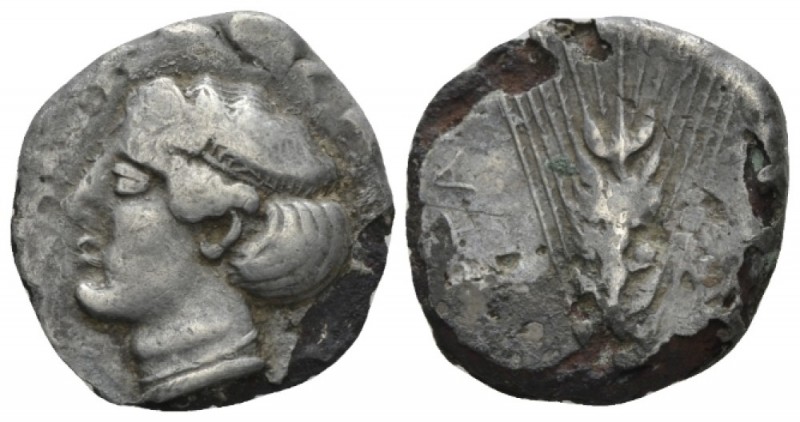 Lucania, Metapontum Plated nomos circa 430-400, AR 18mm., 4.42g. Diademed head o...