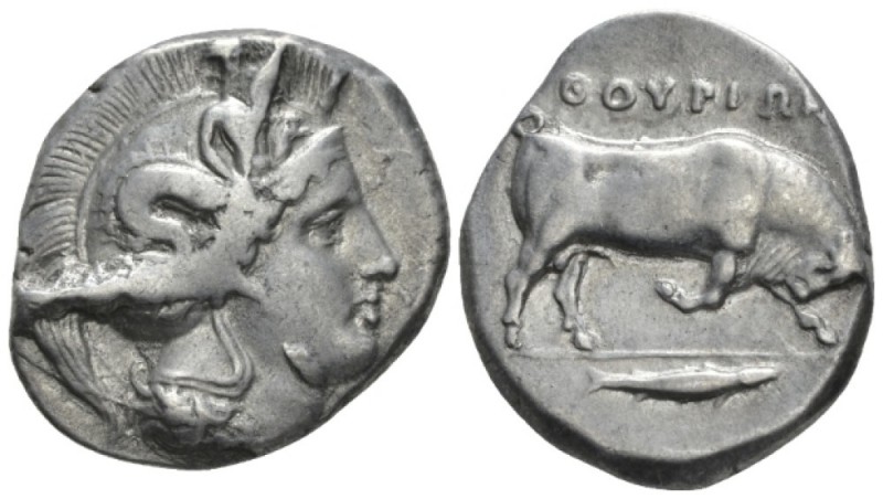 Lucania, Thurium Dinomos circa 400-350, AR 27.5mm., 15.74g. Head of Athena r., w...