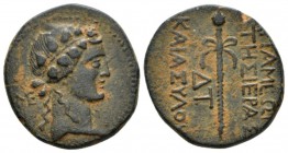 Seleucis ad Pieria, Apameia Bronze circa 9-8, Æ 20mm., 6.73g. Head of Dionysos r., wearing ivy wreath. Rev. Thyrsos; ΔΤ (date) to inner left; M–A acro...