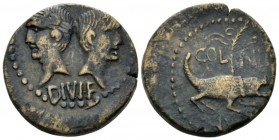 Gallia, Nemausus Augustus with Agrippa. As circa 16-10 BC, Æ 26.5mm., 12.35g. IMP DIVI F Heads of Agrippa l., wearing rostral crown and laurel wreath ...