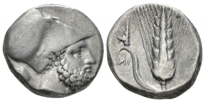 Lucania, Metapontum Nomos circa 340-330, AR 19.5mm., 7.88g. Helmeted head of Leu...