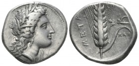Lucania, Metapontum Nomos circa 330-290, AR 22mm., 7.80g. Head of Demeter r., wearing barley wreath; below chin, ΦAI . Rev. Ear of barley with leaf to...