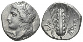 Lucania, Metapontum Nomos circa 330-290, AR 19.5mm., 7.91g. Wreathed head of Demeter l.; below chin, ΔΩPI. Rev. Barley ear of seven grains with leaf t...