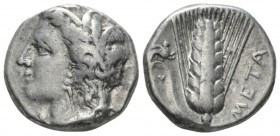 Lucania, Metapontum Nomos circa 330-290, AR 19mm., 7.86g. Wreathed head of Demeter l. Rev. Barley ear with leaf to l.; above leaf, griffin springing r...