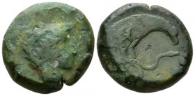 Bruttium, Hipponium Bronze circa 350-300, Æ 24.5mm., 17.36g. Head of Hermes r., wearing petasos. Rev. Eagle standing r., holding snake. SNG ANS 449. H...
