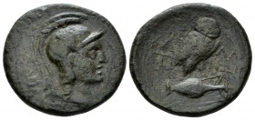 Sicily, Calacte Semis (?) circa 200-150, Æ 22mm., 5.99g. Head of Athena r., wearing crested Attic helmet. Rev. Owl standing r., with closed wings, on ...