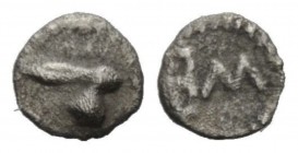 Sicily, Messana Hexas circa 480-460, AR 5mm., 0.07g. Head of hare r. Rev. ME (retr.). SNG ANS 325. Caltabiano 277.

Very rare. Toned, Good Very Fine...