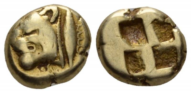 Mysia, Cyzicus Hekte circa 550-500, EL 11mm., 2.63g. Head of lion l., behind, tu...