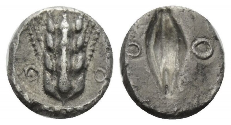 Lucania, Metapontum Diobol circa 470-440, AR 9mm., 0.82g. Barley-ear with four g...