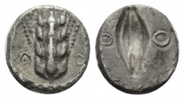 Lucania, Metapontum Diobol circa 470-440, AR 9mm., 0.82g. Barley-ear with four grains, annulet to either side Rev. Incuse barley grain, annulet to eit...