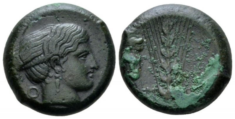 Lucania, Metapontum Bronze circa 425-350, Æ 19.5mm., 9.18g. Head of Nike r.; in ...